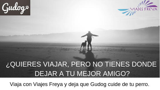 Gudog, mi nuevo colaborador