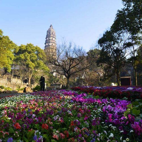 Colina-del-tigre-suzhou