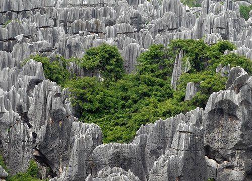 Bosque-de-piedra-China
