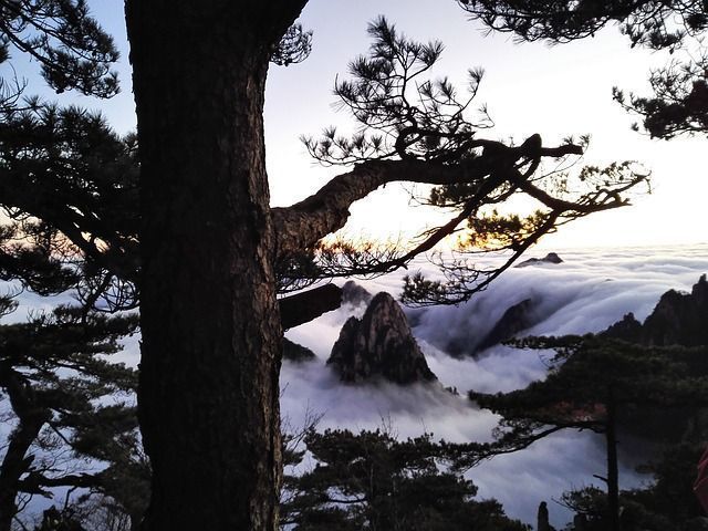 Huangshan-vistas